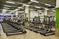 Профессиональные беговые дорожки Aerofit 8700TM в фитнес-клубе Alex Fitness, г. Тольятти